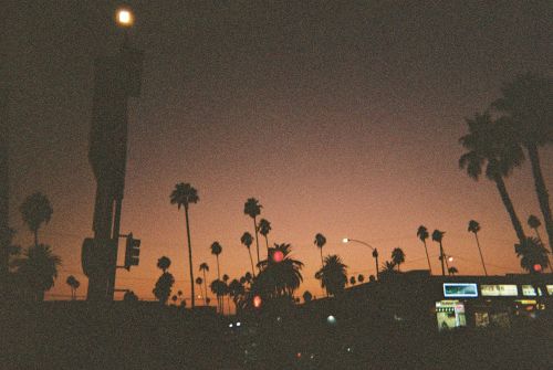 matthewgrantanson: Palatial, Los Angeles – 2021 on the disposable camera