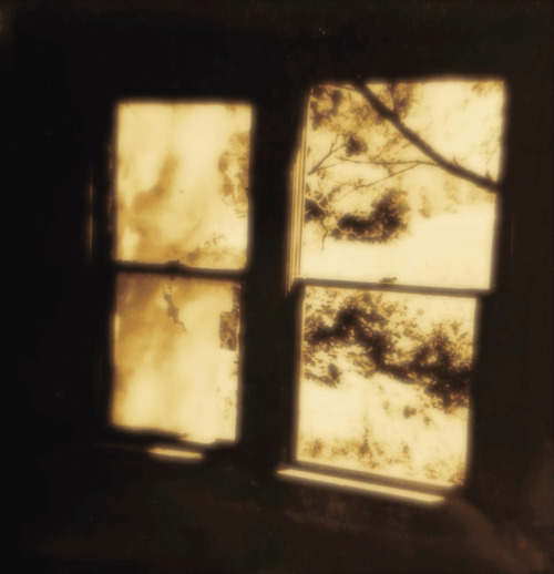 Had A Day Back In Wisconsin, Went To Abandoned House