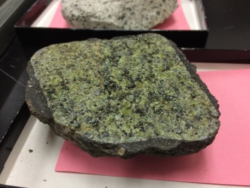 anomalokaris: Igneous, Metamorphic, Mantle rock petrography lab tomorrow. Lots of interesting textur