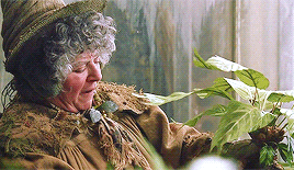 threebroomsticks:“Mandrake, or Mandragora, is a powerful restorative,’ said Hermione, sounding as us