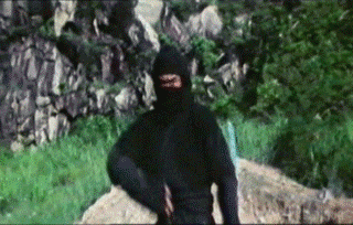 Download Vanishing Ninja Smoke Bomb Gif Pictures