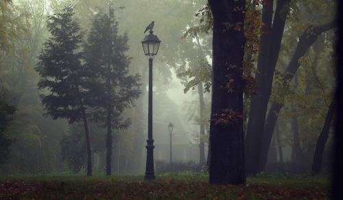 allthingseurope:  Bucharest, Romania (by yony_ro) 