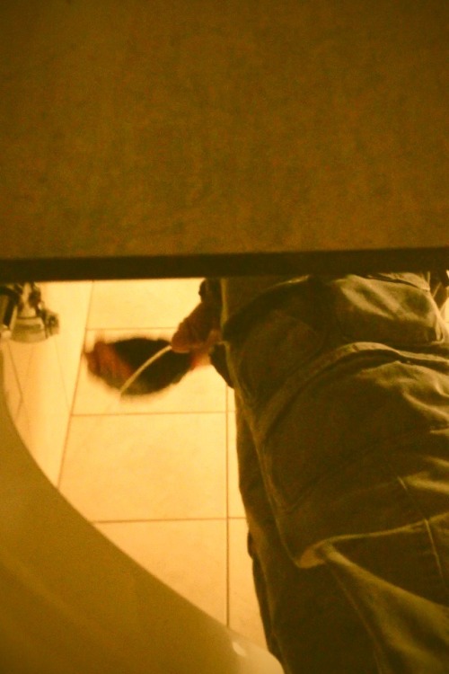theguyspy:  flyunderthestall:  Couple pic I found  HOTTT