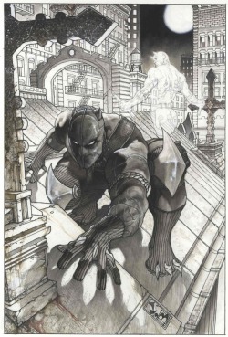 fajrdrako:  Black Panther and Daredevil by Simone Bianchi.