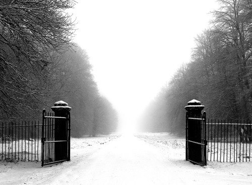 Elegy for a Dream