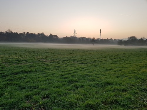 26th October 2019: The green grass and the fog made our walk very special.