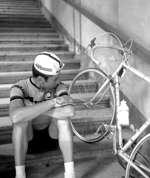 roadworksbicyclerepairs: Felice Gimondi