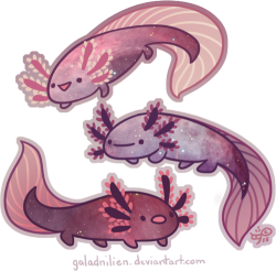 galadnilien:  Space axolotl: Derp, derp,