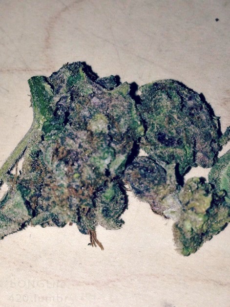 bonglife420:  All that’s left of the purp :(