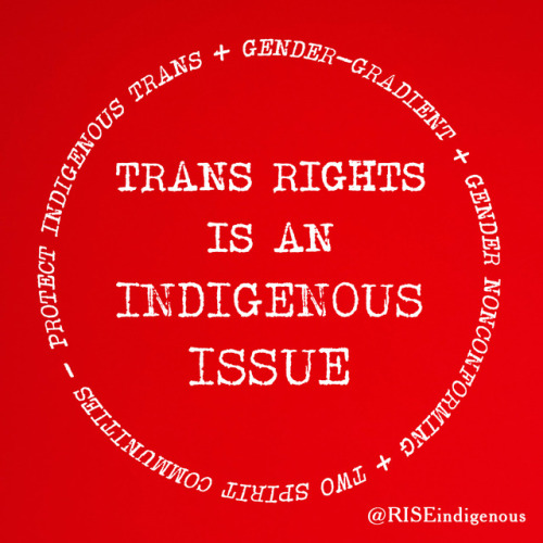 burymyart:Trans rights is an Indigenous issue. Innumerable gender identities and systems were thrivi