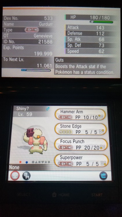I encountered a shiny in the wild without looking for one (no chaining, no Shiny Charm, etc.) for th