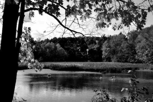 Durand-Eastman ParkRochester, New YorkAccording to the locals, Durand-Eastman Park is haunted by a w