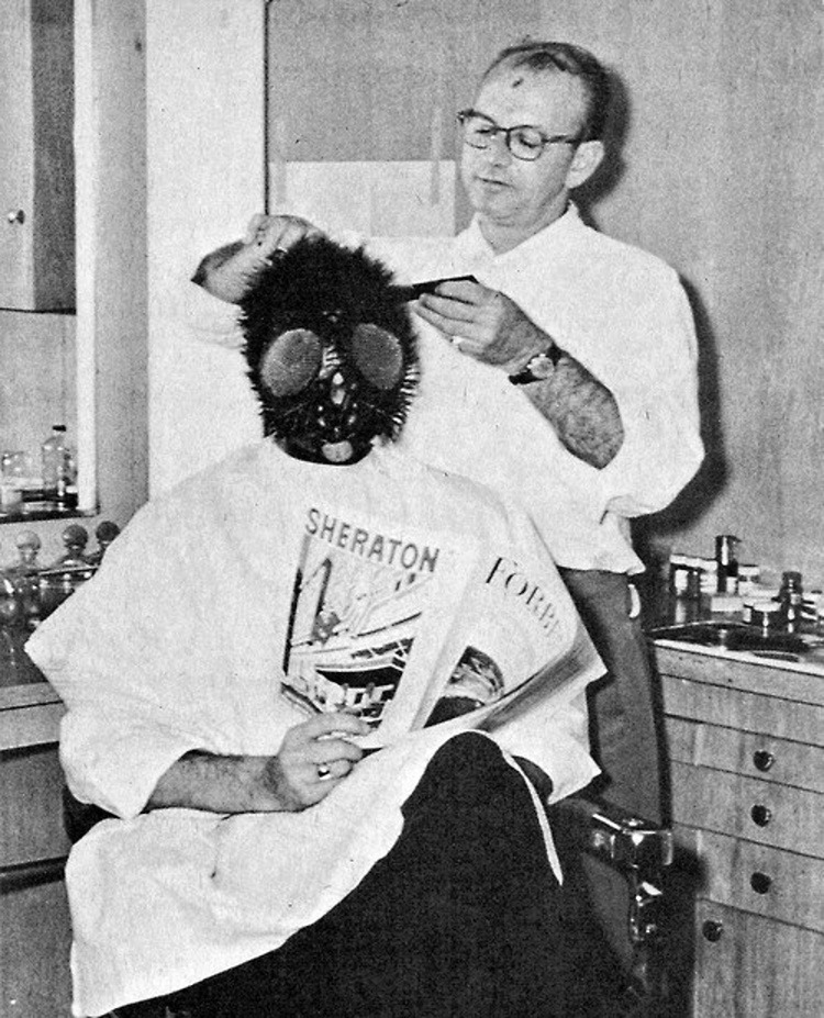 La Mouche chez le coiffeur.