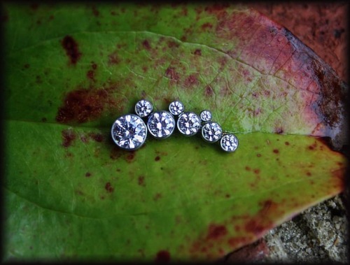 Check out this awesome cluster from @leroifinejewelry we have here at @studio_seven_piercing I&rsquo