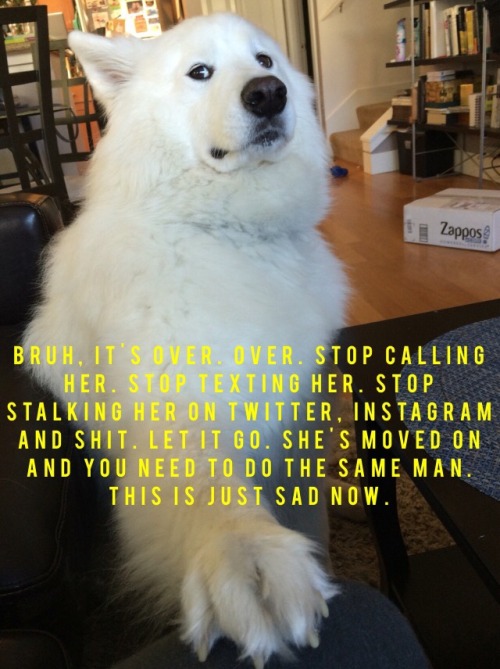 alwaysbewoke: unlimitles: alwaysbewoke: Move on man. #relationshipdog …lol, you right dog, fu