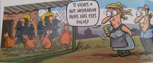 Has visto lo que crecieron en unos días esos pollos????