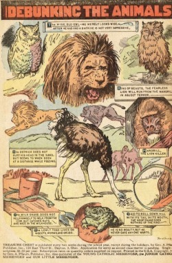 nemfrog:“Debunking the animals.” Treasure Chest. 1948.