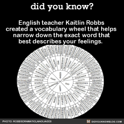 did-you-kno:  English teacher Kaitlin Robbs