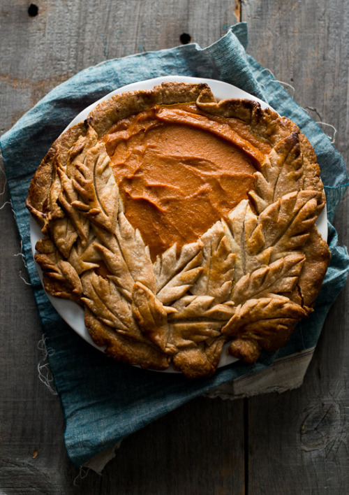 whiteonricecouple:  Oh the love of pumpkin pie and making it extra beautiful for Thanksgiving.  Clic