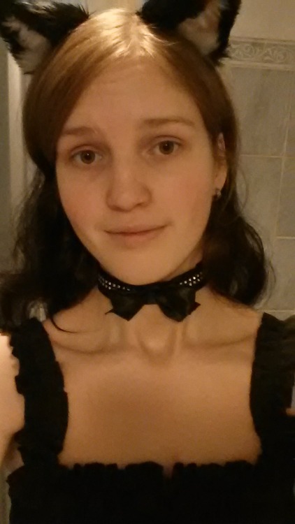 colourfulkitty:  New dress + collar + kitten ears makes a happy kitty  