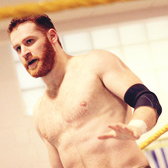 yoururinal:  A gorgeous beard on a gorgeous man.  Sami Zayn.   Fuck yeah!!