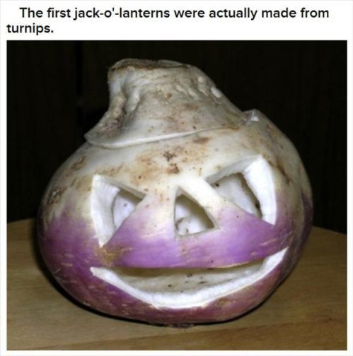 cooldude104:  tmc102464:  Halloween Facts  I love Halloween 