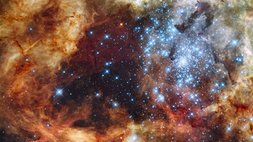 This photo shows the young stellar grouping R136. Many of the icy blue stars are among the most mass
