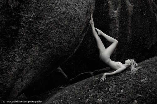 camattreephoto:The incredible Sylph Sia from our recent Granite Belt photo adventure with Mark Rhode