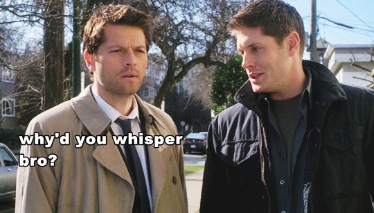 rockandrollchick:  Source