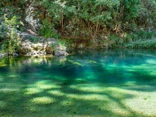 oceaniatropics: Booloumba Creek, Conondale National Park, Queensland, Australia   ❁❁ tropical blo