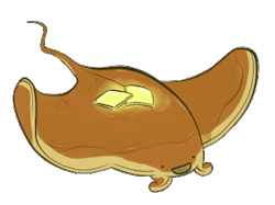 cloudydrake:   cloudydrake:  arcaneseamstress:  nymphominatrix:  made this transparent    I love you, sea pancake.  yes, two chances to reblog sea pancake twice in one night. excellent. 