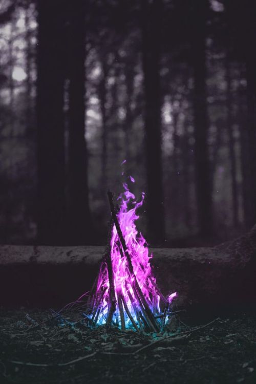 trasemc - Colorful Bonfire