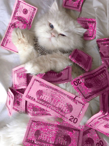 lsd-kitty:  ⇧High⇧