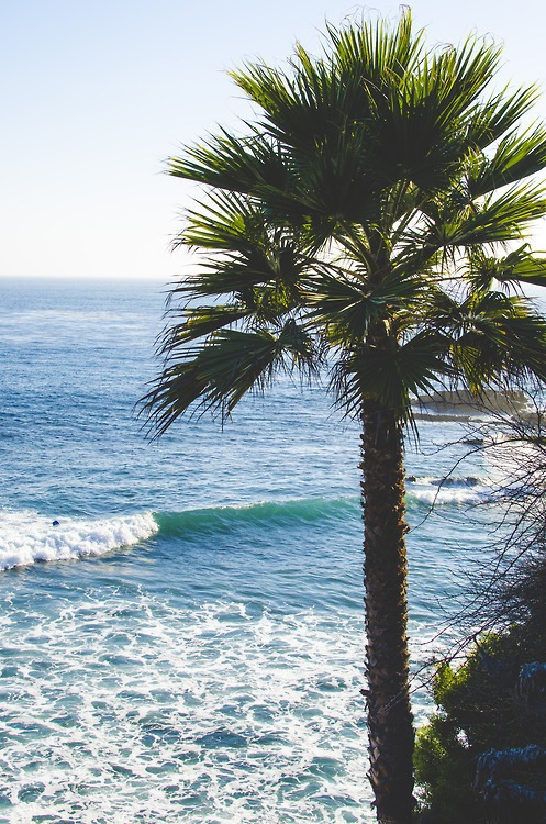 silly-luv:  ♡ find your best posts on my blog ♡