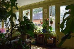 perceptinspire:  Apartment Therapy: Natasha and the Plant-Filled Sunroom   YEP THIS IS GONNA BE MY HOUSE