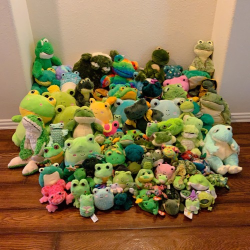 Little From A While Back Pic Of My Frog Plushie Collection Hehe