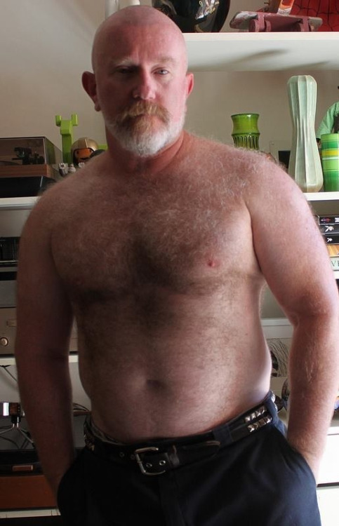 SERVICE BEAR