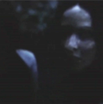 strawberrycupcakeprincess:  jhutchforlife:  paintonthemoon:  we-want-it-now:  NO