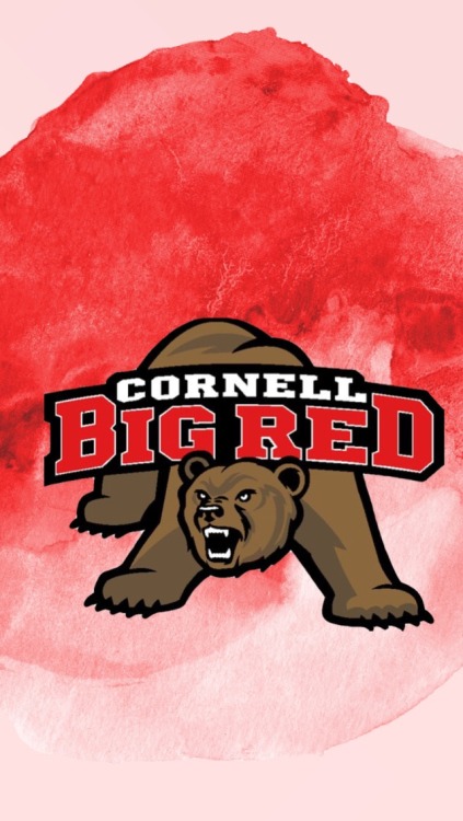 Cornell University hockey /requested by anonymous/