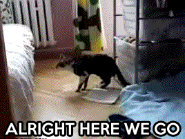 Reblog with one gif that describes your blog.