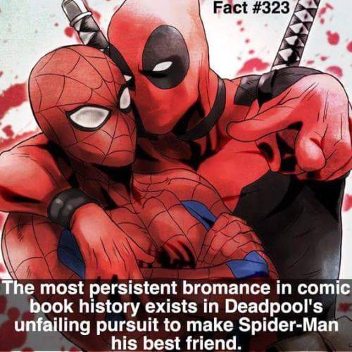 sssssssim:  pokemonsunburn:  motherstrawberry:  motherstrawberry:  ah yes….his Best Friend&he