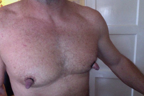 https://nipplepigs.tumblr.com/post/137699390665