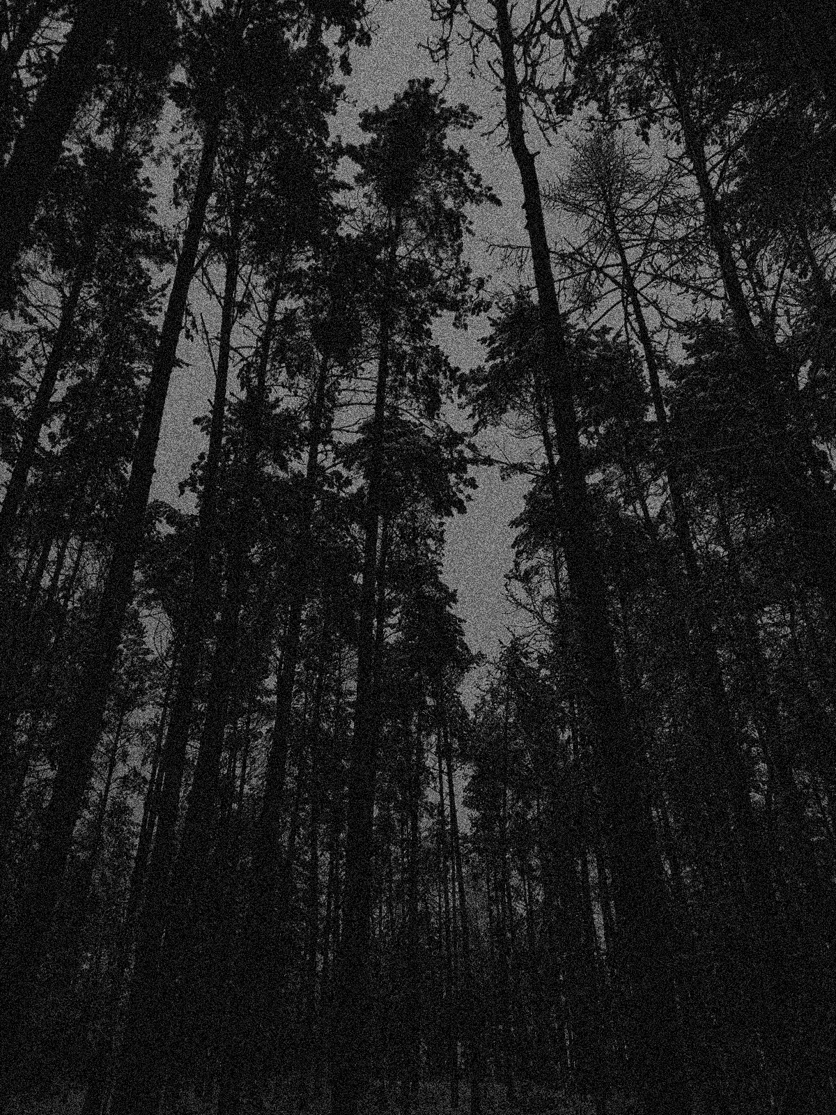 Natureknownsnotofmercy On Tumblr natureknownsnotofmercy-on-tumblr