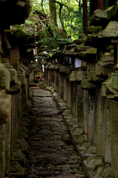 wanderlustjapan: Stone lantern of Kasuga Taisha Shrine by Shun Nakazawa