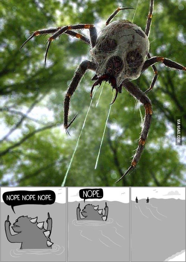 ragecomics4you:  Known as Skulltula…board the train to nopevillehttp://ragecomics4you.tumblr.com