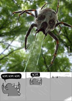 ragecomics4you:  Known as Skulltula…board