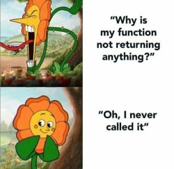 my function