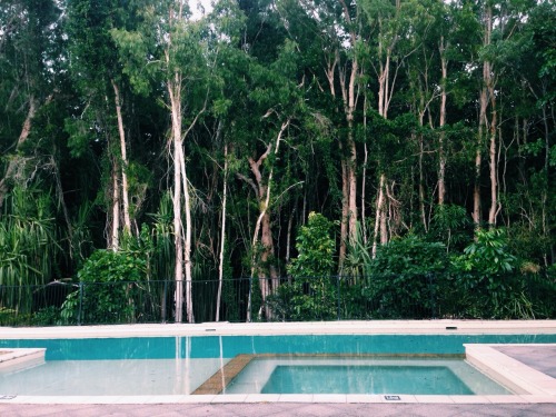 exotic-elephant-s:  mimohsa:  Indie   m o r e    t r o p i c a l     h e r e 