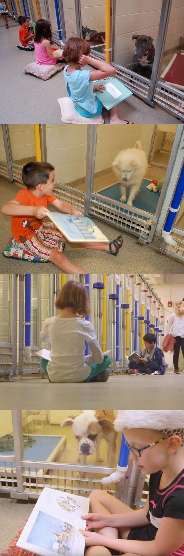 wagyourtale:  Shelter Buddies reading program at the Humane Society of Missouri 