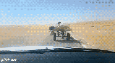 Animated Gifs